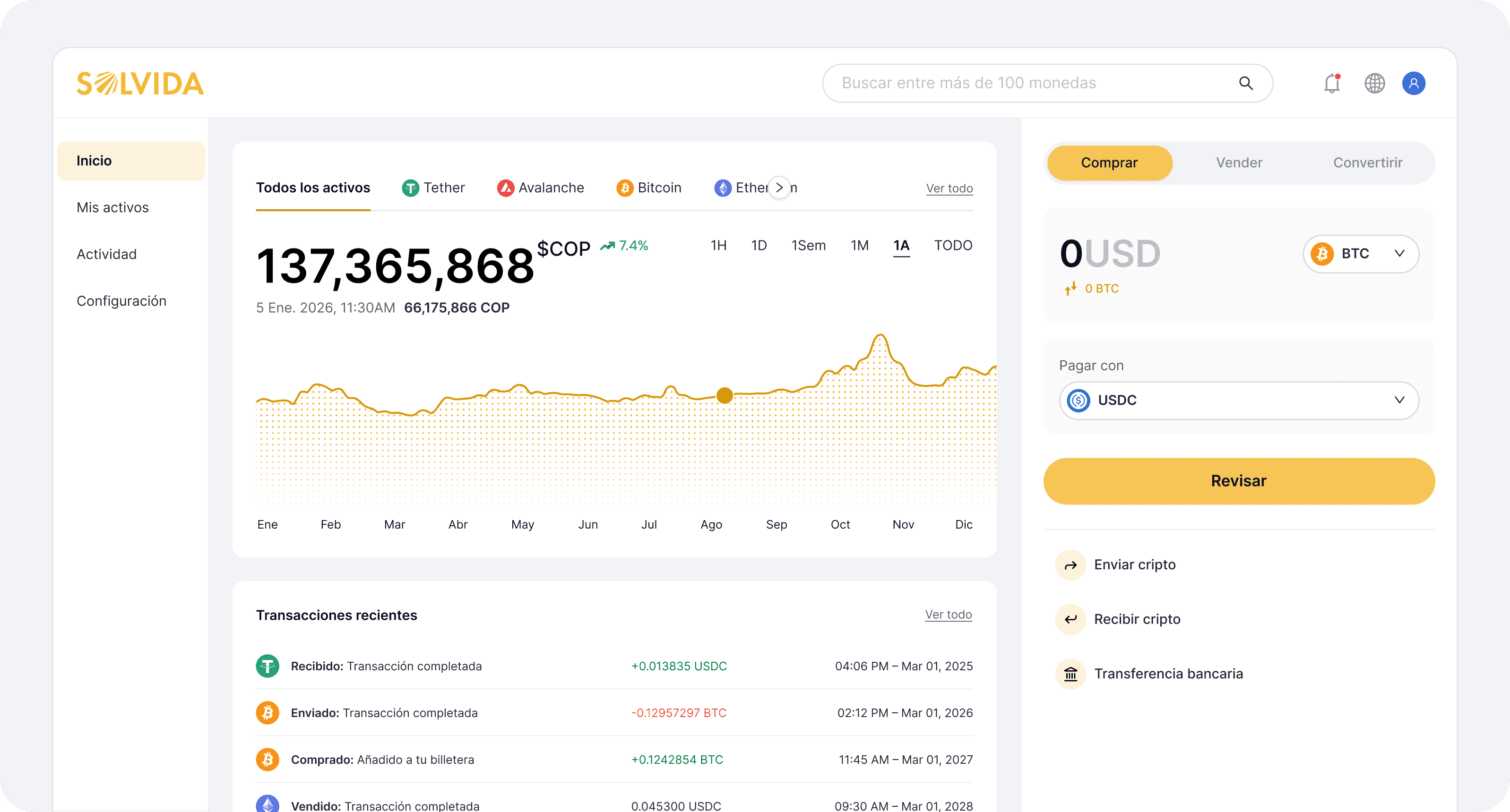 Solvida dashboard preview